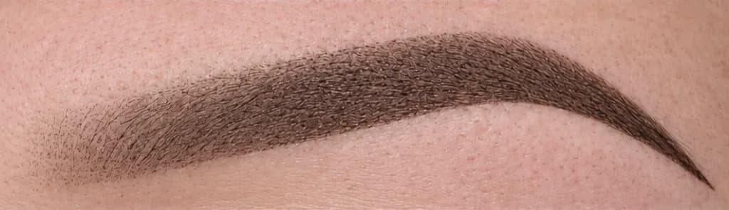 Illustration of ombré powder brows: soft powdered shading, lighter at the front and deeper at the tail