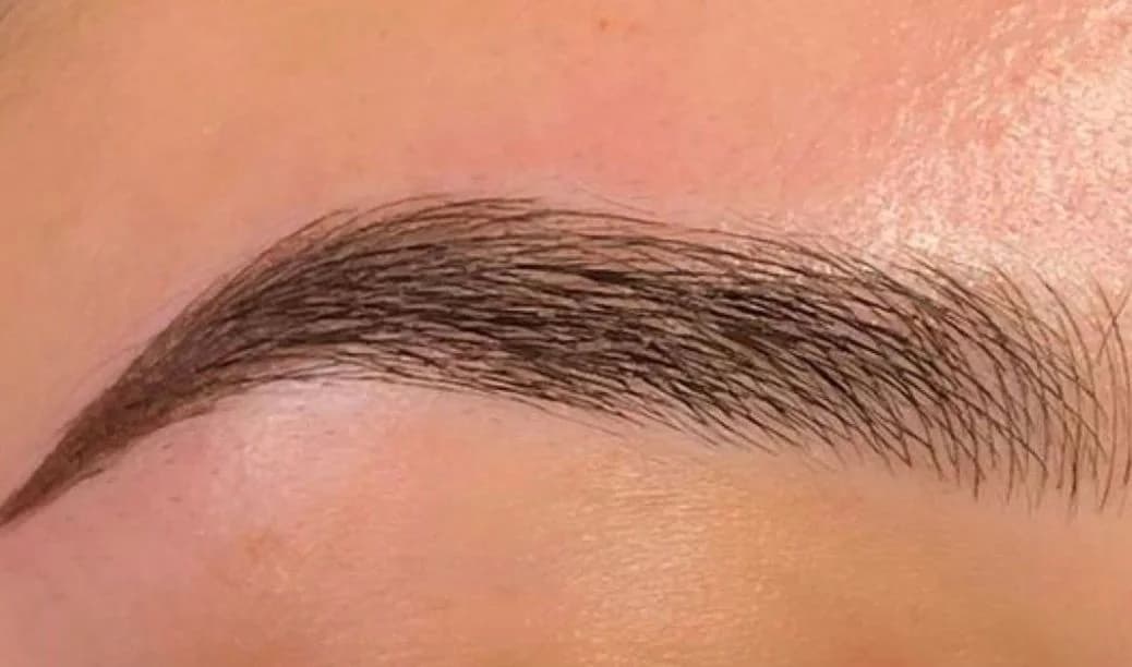 Healed nano combo brow with a crisp, cleanly tapered tail