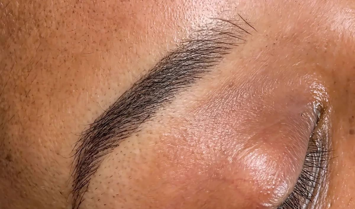 Combo brow with soft powder shading through the body and tail