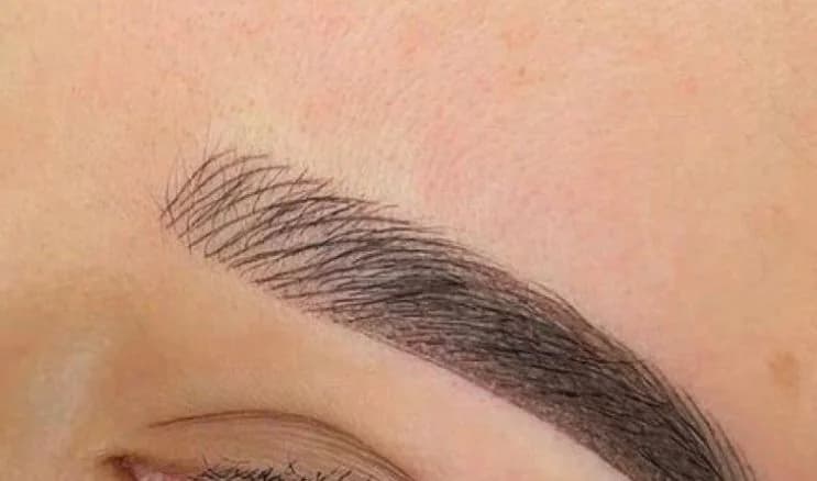 Hybrid brow with a light, feathered front and defined arch and tail